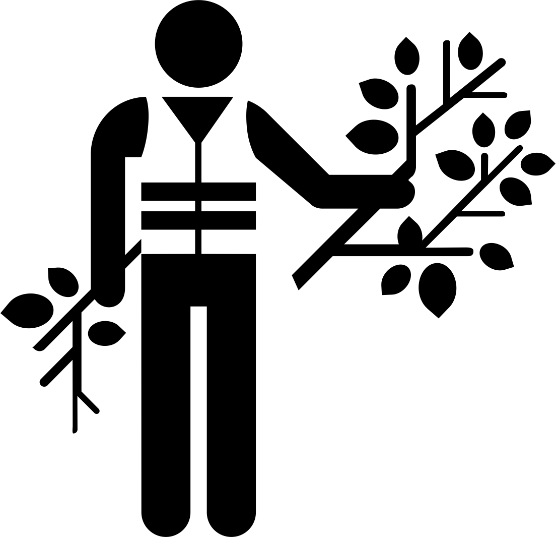 pipeline